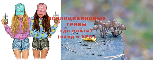 шишки Верхнеуральск