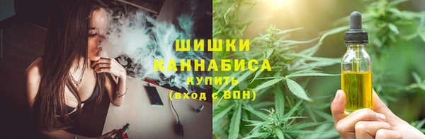 гидра Верхний Тагил