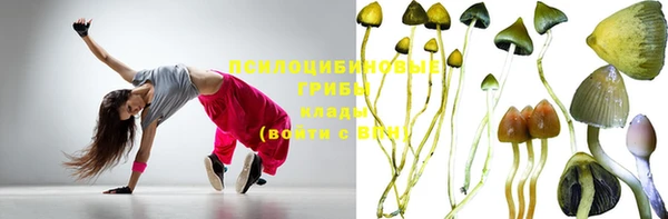 шишки Верхнеуральск