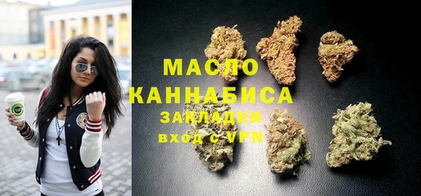 гидра Верхний Тагил