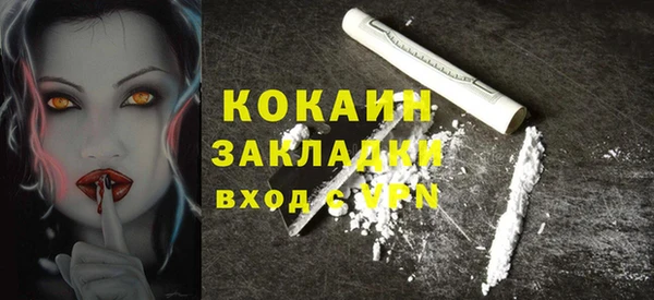 гидра Верхний Тагил