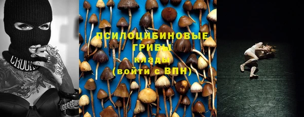 мяу мяу мука Верея