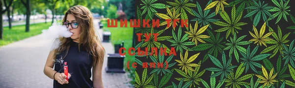шишки Верхнеуральск