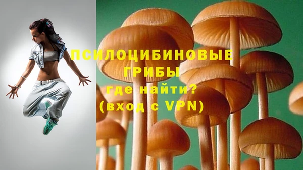 гидра Верхний Тагил
