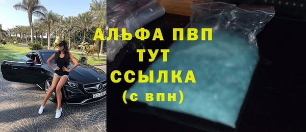 гидра Верхний Тагил